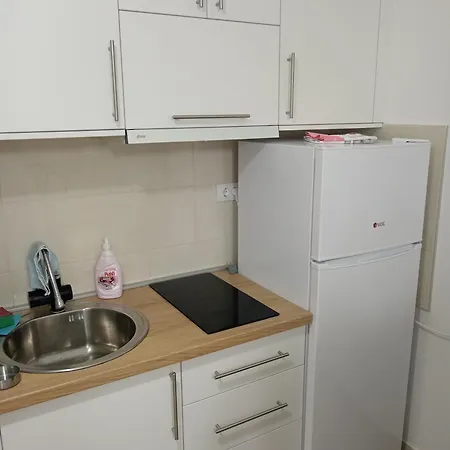 Apartment Mitic *
